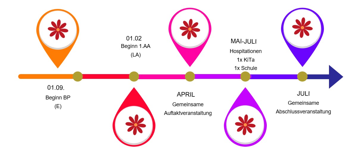 Zeitstruktur der Umsetzung der Kooperation BLUME